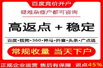 百度推广排名提升方案：某科技公司的成功经验